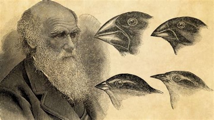 10 Charles Darwin Have Fun With History
