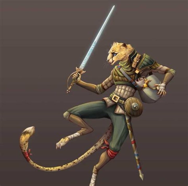 100+ tabaxi names to help you in your D&D character creation Legit.ng