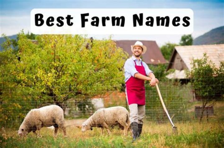 1079 Best Farm Names Catchy, Unique, Romantic, Clever