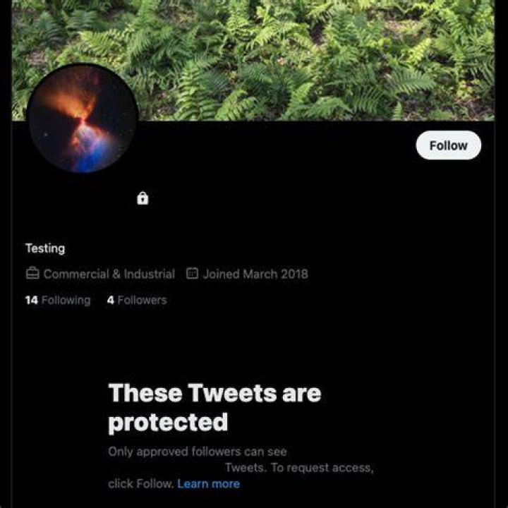 🦇Skellie Franky🦇 on Twitter "Heel https// / Twitter