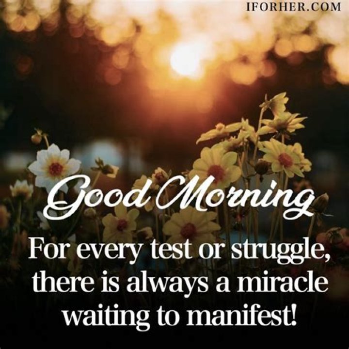 30+ Good Morning Inspirational Quotes Gif