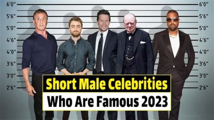 30 Surprisingly Short Male Celebrities Who Are Famous in 2022 Tuko.co.ke
