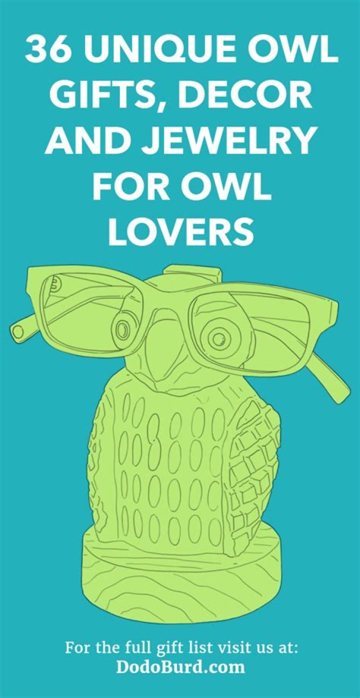 36 Unique Owl Gifts, Decor and Jewelry for Owl Lovers Dodo Burd