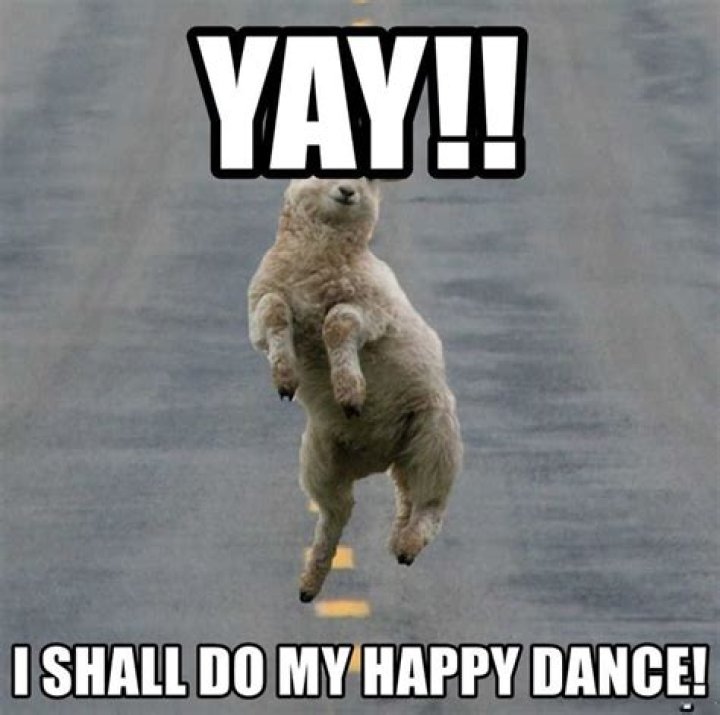 40 Happy Dance Memes That Will Put A Smile On Your Face SayingImages