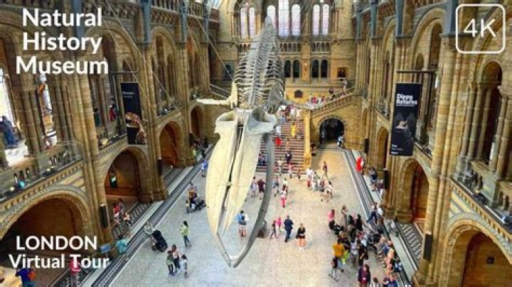 9F Unnatural History Museum Walkthrough