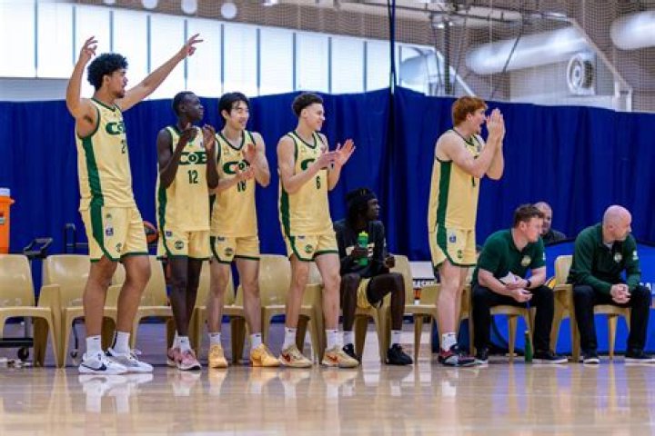 A Basketball Journey To Excellence