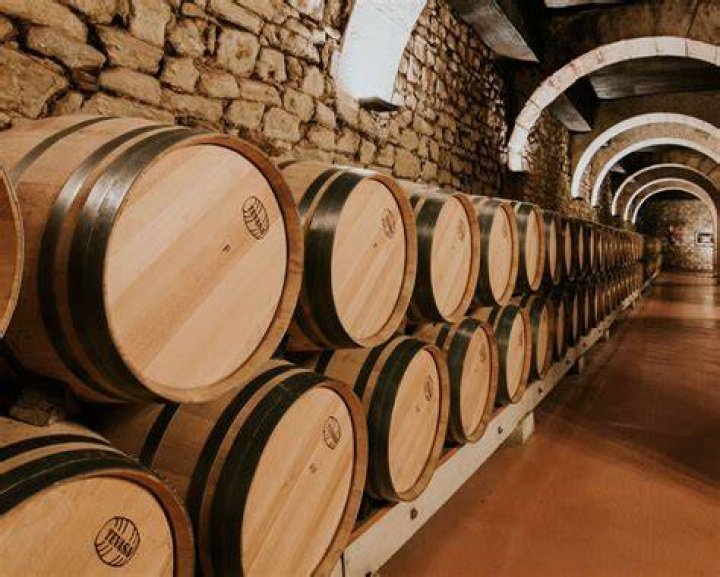 A Journey Into Winemaking Excellence