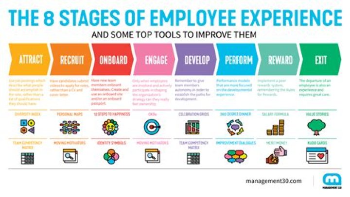 A Journey of Experience, Performance, and Value