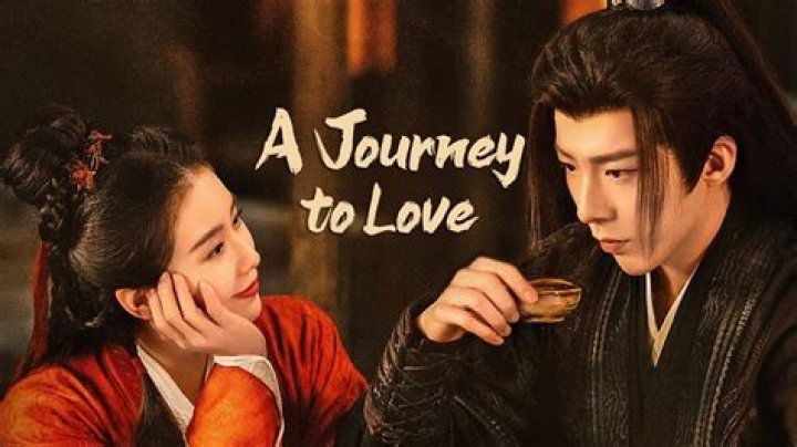 A Journey Of Love, Partnership, And Adventure