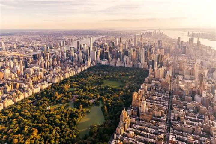 A Journey Through The Streets Of New York City