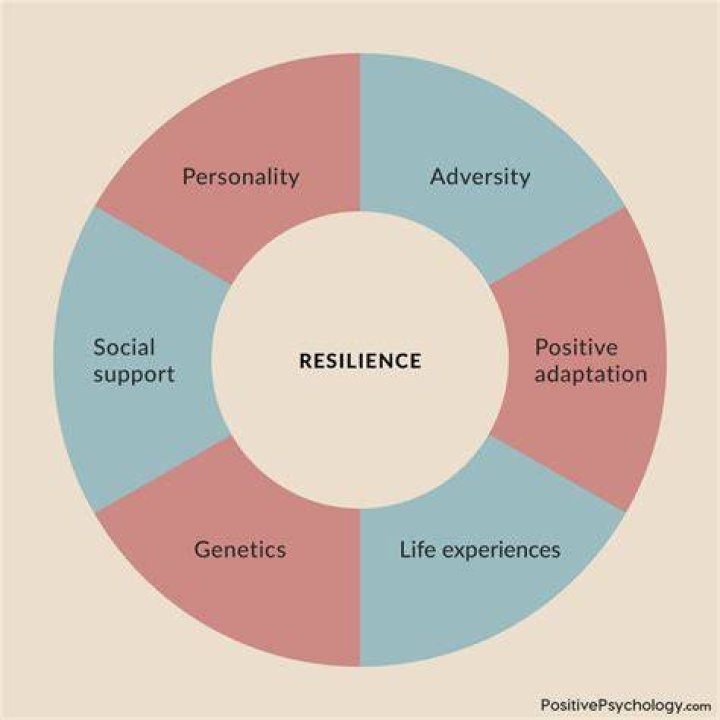 A Tale Of Resilience And Wilderness
