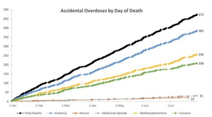 Accidental Overdose, Raccoon-cooper