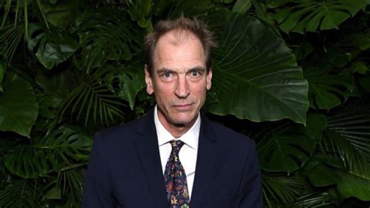 Actor Julian Sands Dies, Aged 65