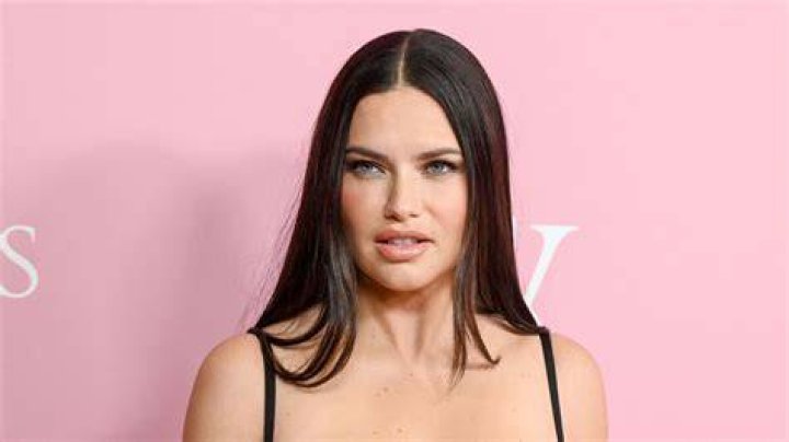 Adriana Lima's Net Worth And Path To Success