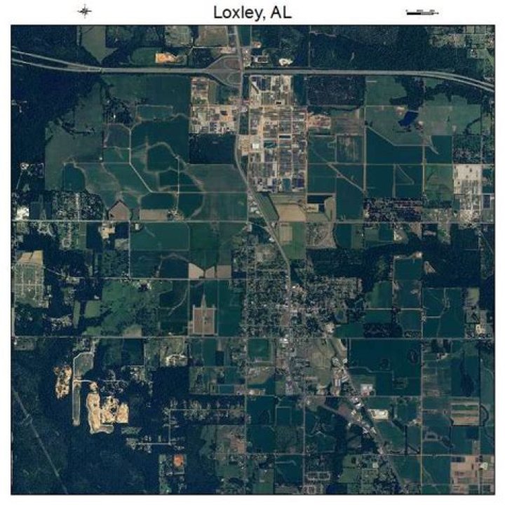 Aerial Photography Map of Loxley, AL Alabama
