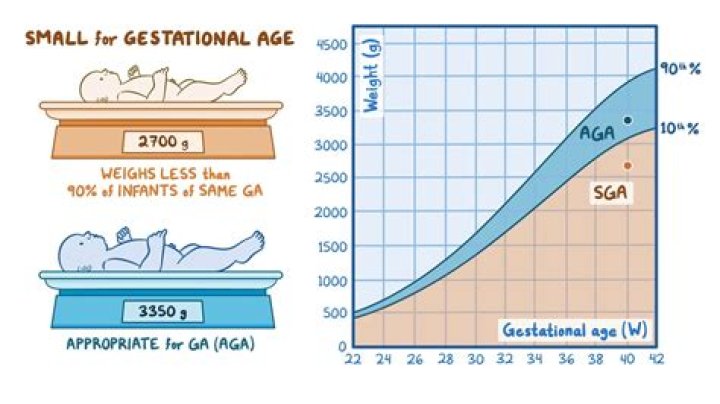 Age At Birth, Carmelo-maika