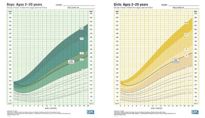 Age, Child, Height, Weight, Tiktok
