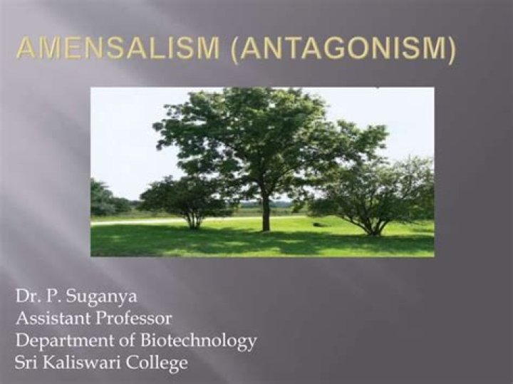 Amensalism: A Comprehensive Guide