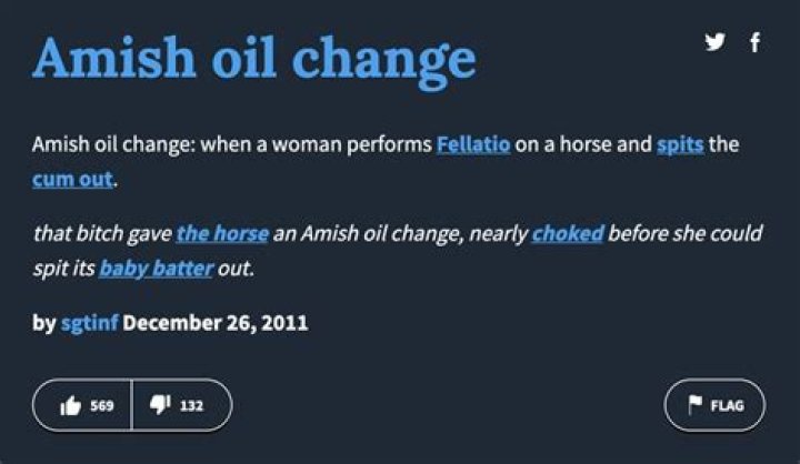 Amish oil change 🤣🤣 YouTube
