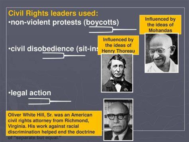An American civil rights attorney, Lisa Bloom has an affluent manner of