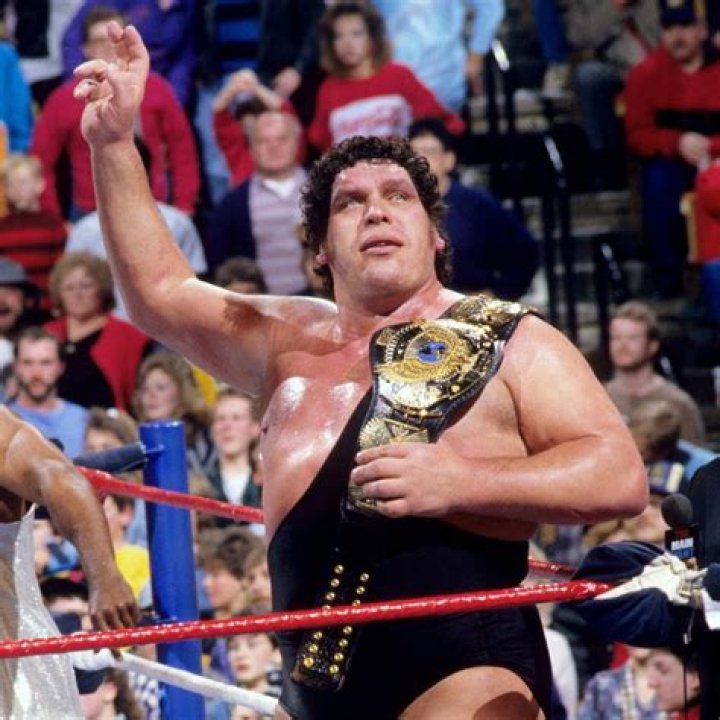 Andre Giant
