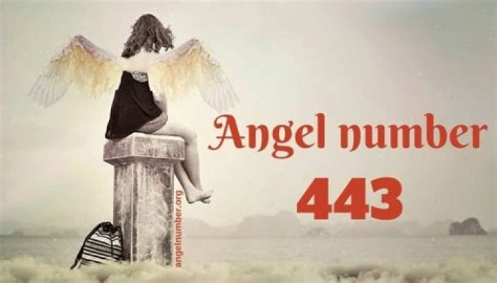 angel number 443