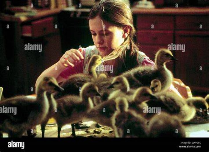 Anna Paquin, Raccoon-cooper