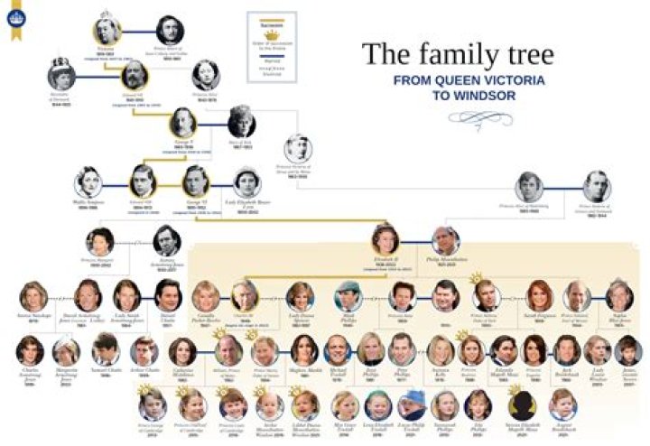 Are Brandon Lowe And Josh Lowe Related? Siblings And Family Tree |