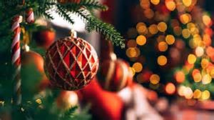 Are Christmas Trees Pagan in Origin? Are Christmas Trees Pagan in Origin?