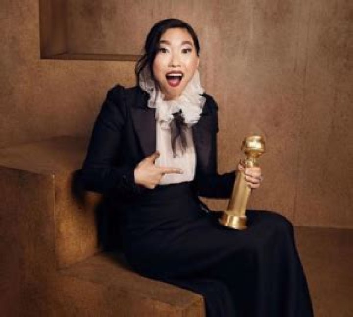 Awkwafina Net Worth 2020, Partner, Husband, Boyfriend, House, Movies, Ethnicity, Wiki, Biography Awkwafina Net Worth 2020, Partner, Husband, Boyfriend, House, Movies, Ethnicity, Wiki, Biography
