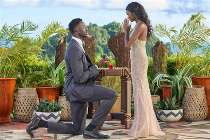 Bachelor In Paradise Recap, What Happened On Bachelor In Paradise Tonight? ·