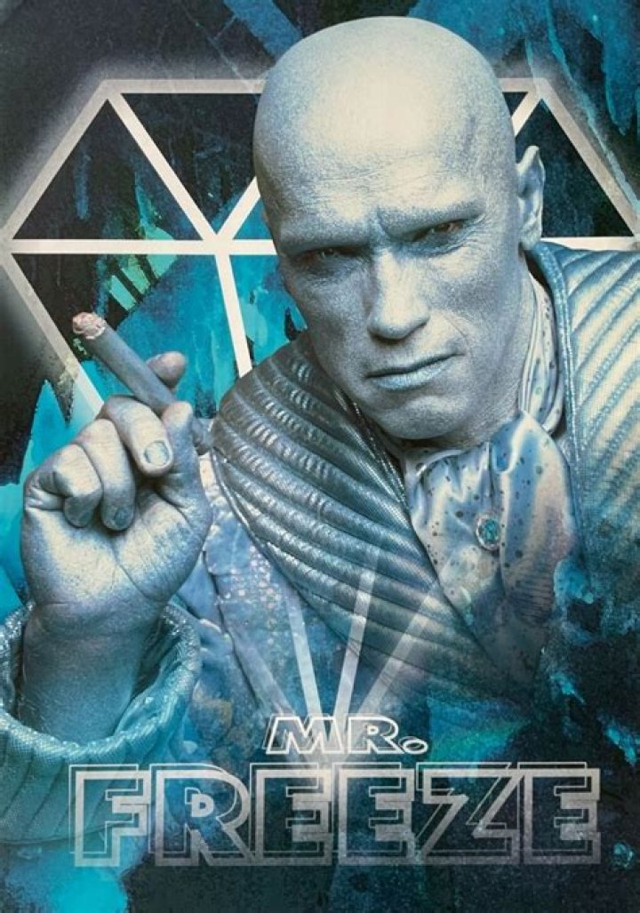 BATMAN PROTOTYPE MOVIE ARNOLD SCHWARZENEGGER MR. FREEZE ROBE