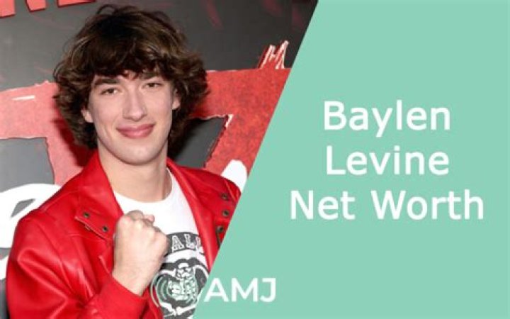 Baylen Levine Net Worth, Career, Personal And Early Life