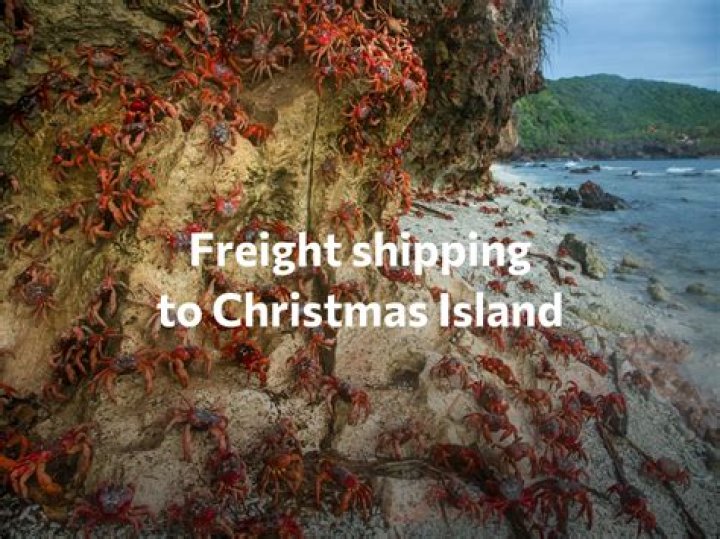 Big Brother of Christmas Island Film Australia