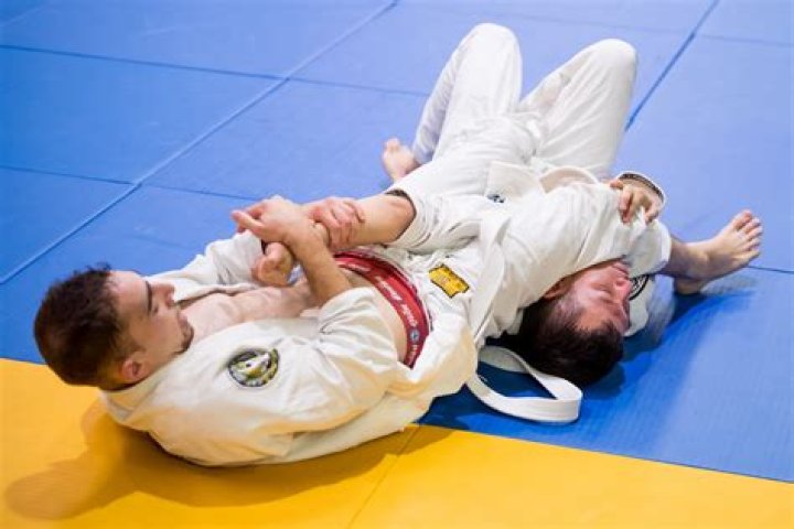 BJJ Physique 4 Ways to Get the Perfect Body for Jiu Jitsu