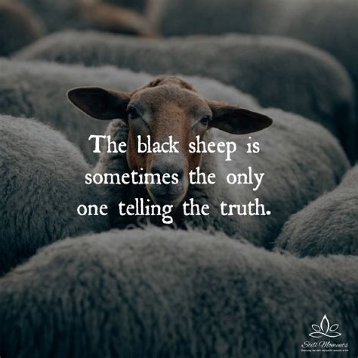 Black Sheep Quote Michelle Pfeiffer Quote I Was Considered The Black