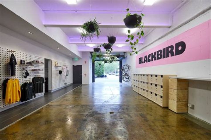 Blackbird Project