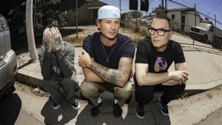 Blink 182 Tsunami Auction -- 'Adam's Song' Lyrics!!! |