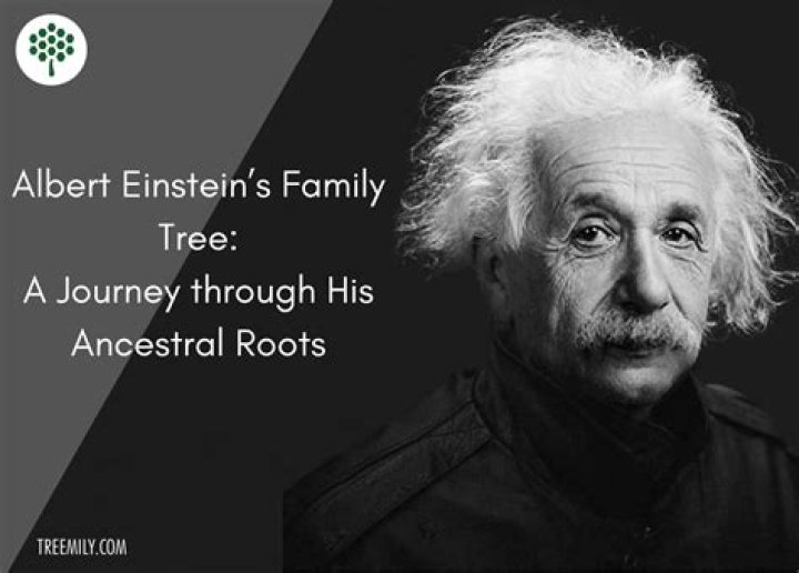 Bob Einstein Family: Is He Related To Albert Einstein?