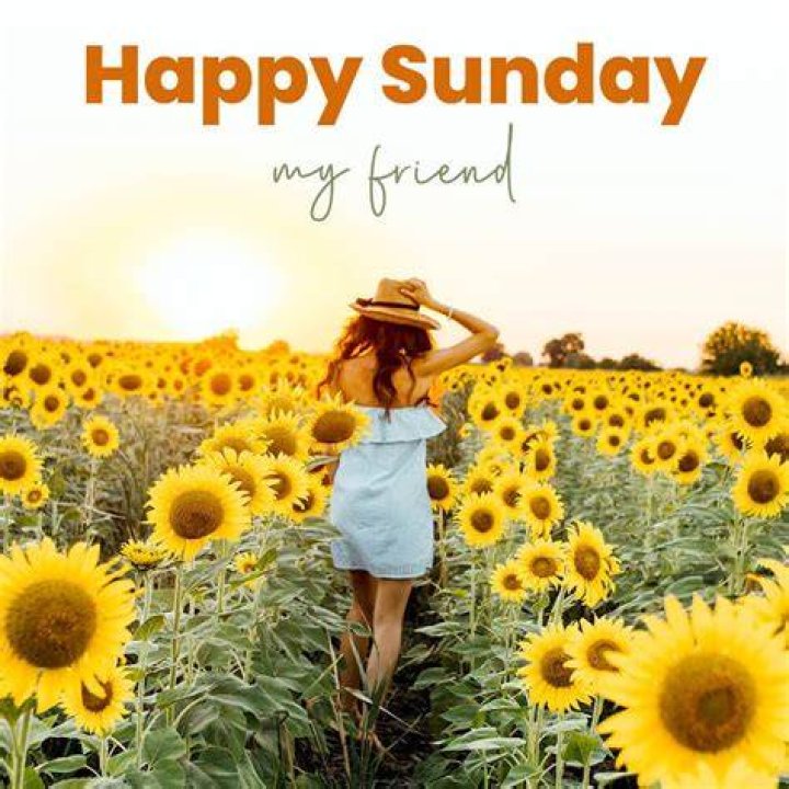 Bonnielocket happy sunday my favourite people hope you have had an