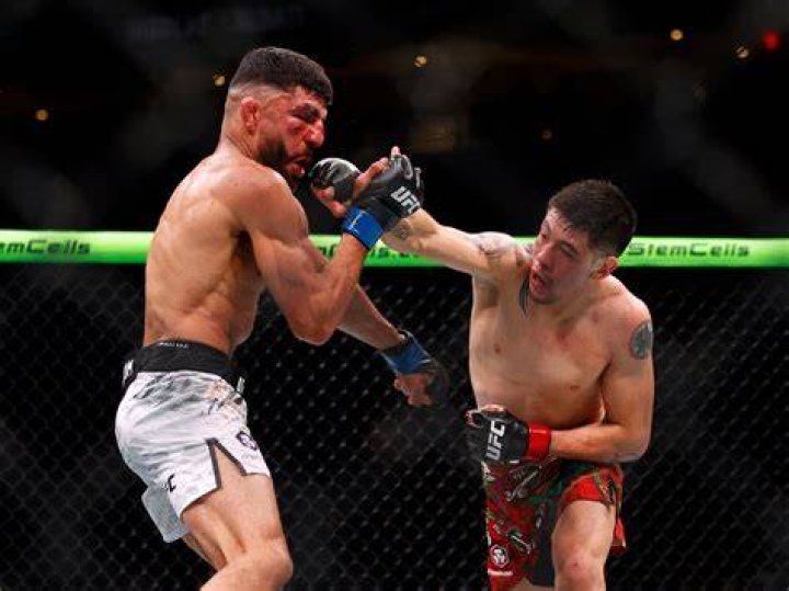 Brandon Royval Amir Albazi leapfrogging me would be &lsquo;f*cking crazy&rsquo;