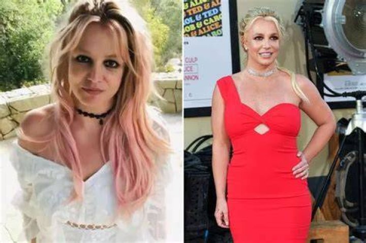 Britney Spears Missing Rumors Explored