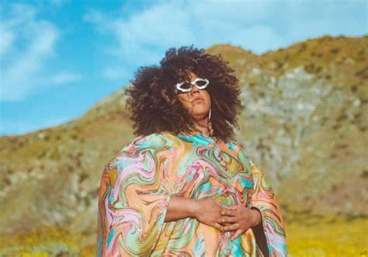 Brittany Howard's Wife, Parents, Net Worth Insights