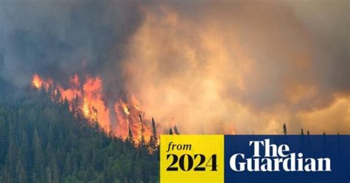 Canadian man who claimed wildfires were a federal conspiracy admits arson