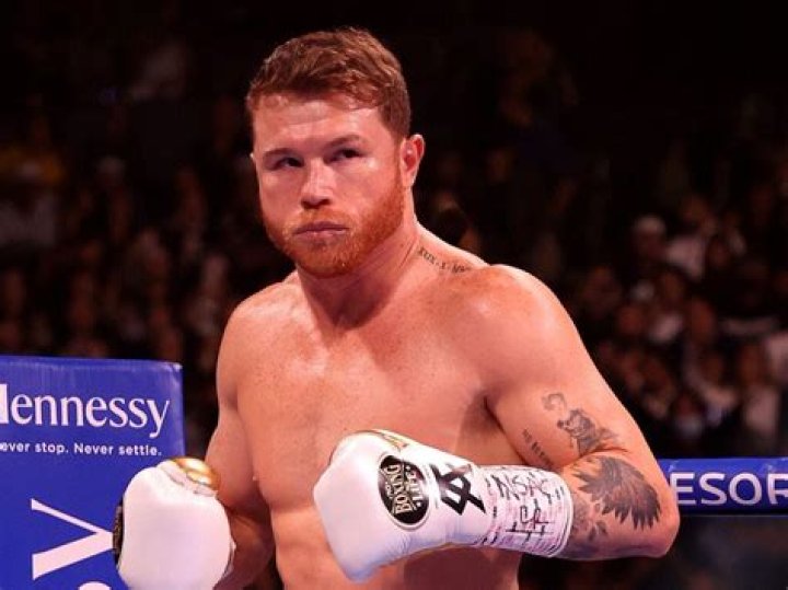 Canelo Alvarez Net Worth 2024: Uncovering The Fortune Of A Boxing Icon