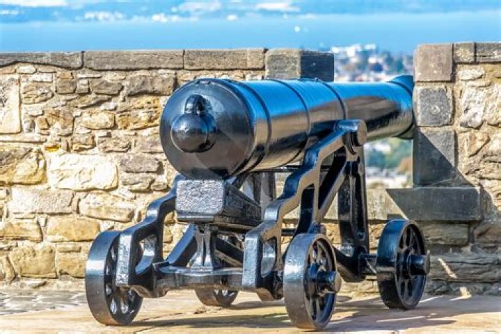 Cannon's Online Auctions & Estate Sales Cannon's Auctions
