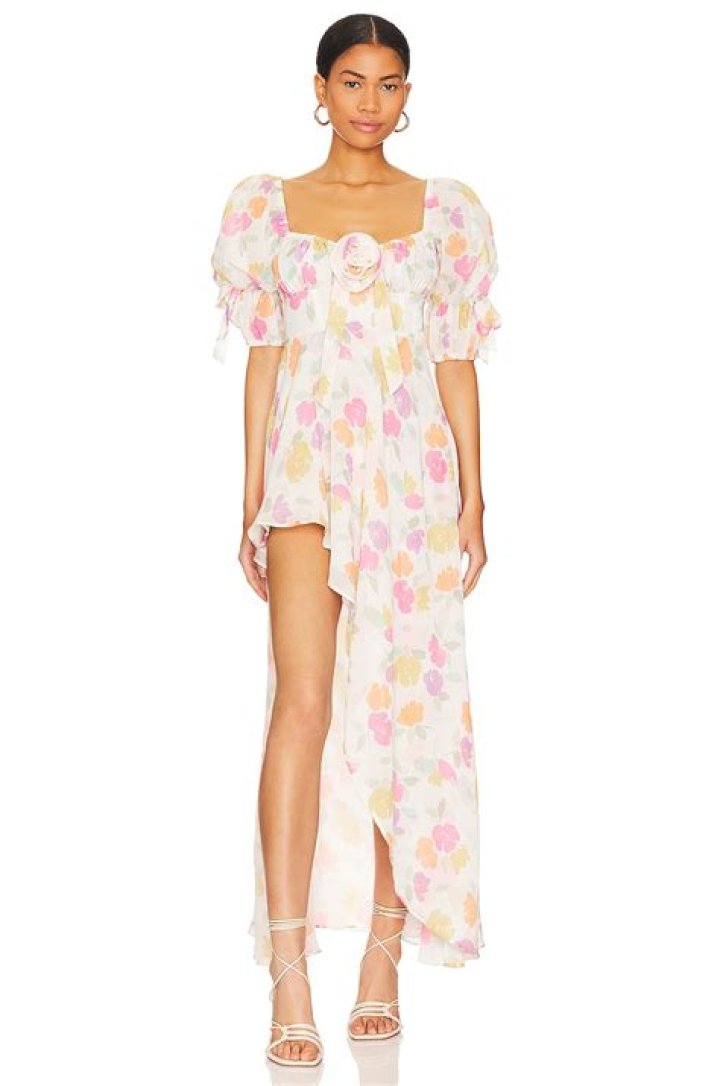 Captivating Insights Into The "For Love & Lemons Festival Rose Dress"