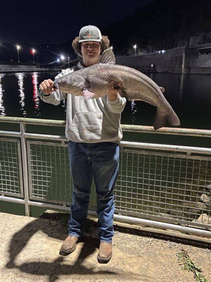 Catfishing in Mountain City, TN The Facebook Murders &mdash; Southern Fried