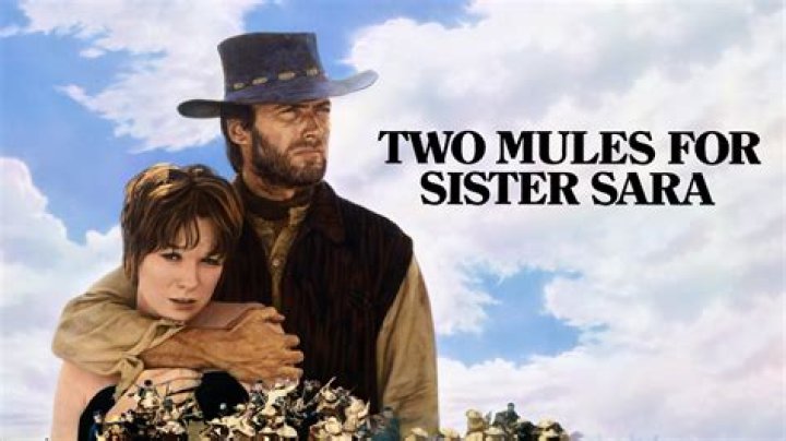 Catherine Scorsese &mdash; The Movie Database (TMDB)