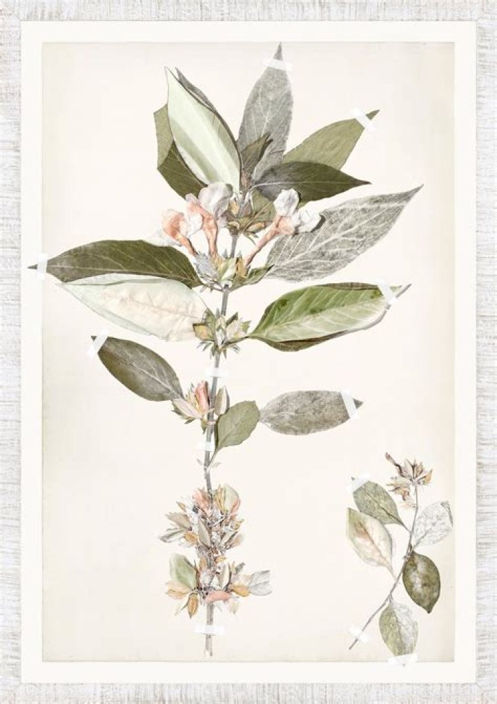 Celadon Art Flower artwork, Botanical artwork, Floral artwork